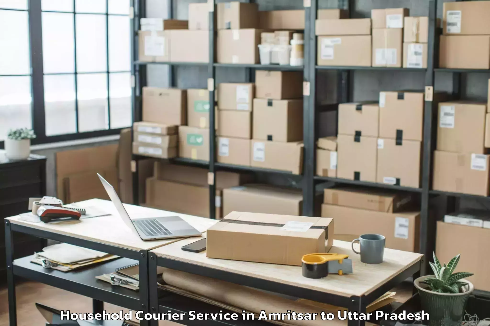 Professional Amritsar to Uttar Pradesh University Of Me Household Courier